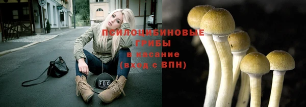 твердый Вяземский