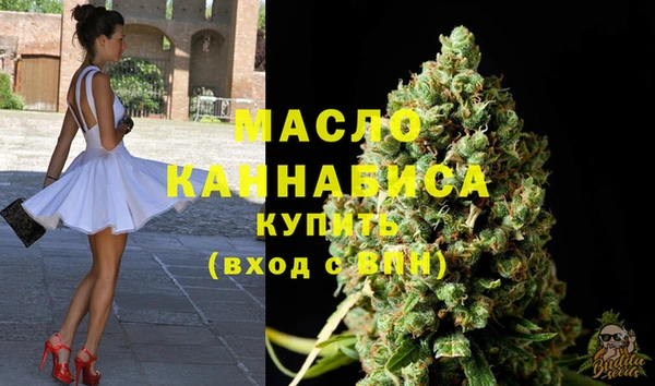 твердый Вяземский