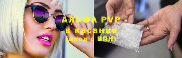 твердый Вяземский