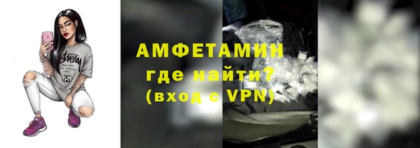 твердый Вяземский