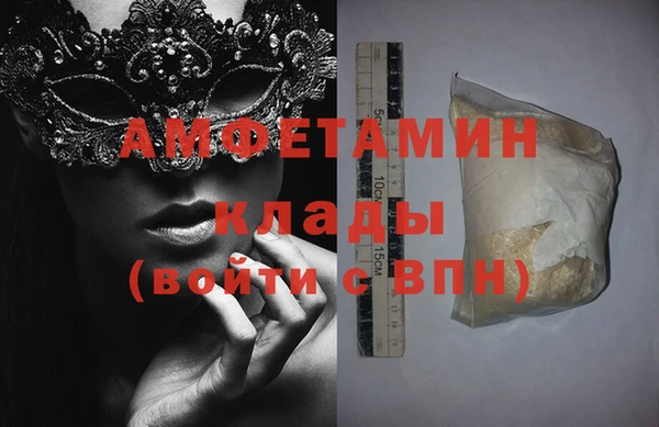 твердый Вяземский