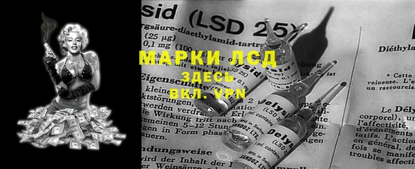 твердый Вяземский